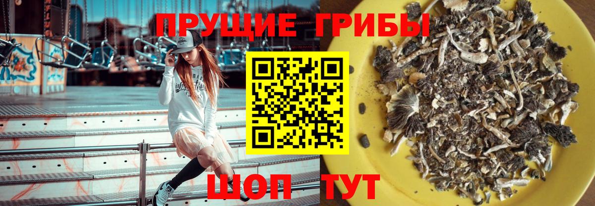 Галлюциногенные грибы Magic Shrooms Новокубанск